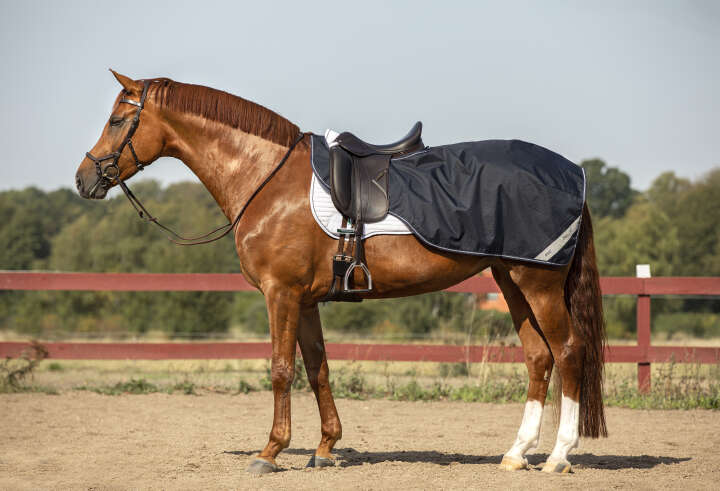 Horseware AMIGO Nieren-Ausreitdecke Ripstop Competition Sheet